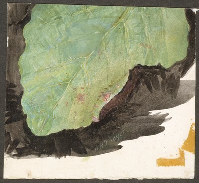 Heterocampa Biundata, Walker, Studie für das Buch Tarnfarben im Tierreich von Abbott Handerson Thayer