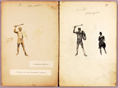 Tätowierung--Einzelner Krieger, Studienordner für das Buch Concealing Coloration in the Animal Kingdom von Abbott Handerson Thayer