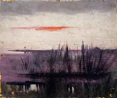 Der Himmel simuliert durch weiße Flamingos, Studie für Buch, Concealing Coloration in the Animal Kingdom von Abbott Handerson Thayer