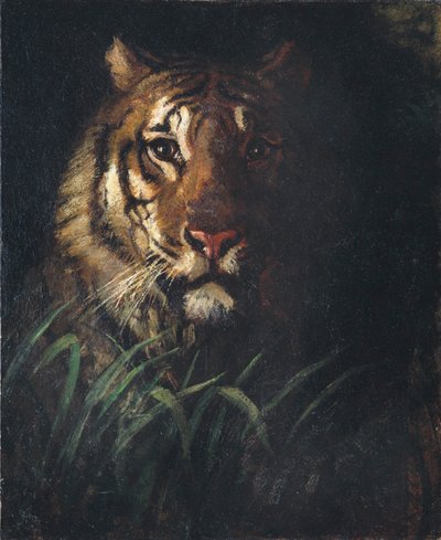 Kopf eines Tigers von Abbott Handerson Thayer