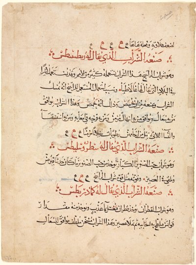 Textseite aus einer Materia Medica von Dioscorides von Abdallah ibn al Fadl (Iraq)