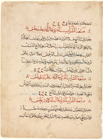 Textseite aus einer Materia Medica von Dioscorides, um 1224 von Abdallah ibn al Fadl
