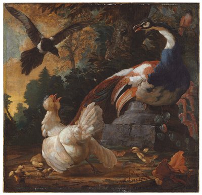 Ein Pfau, Geflügel und eine Elster in einer Landschaft, 1720 von Abraham Bisschop