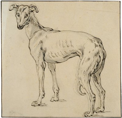 Windhund von Abraham Bloemaert