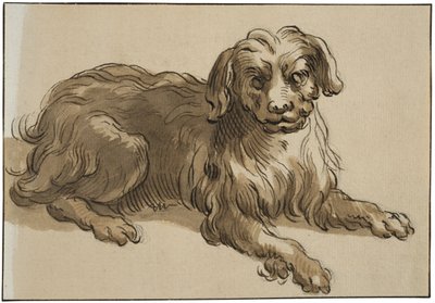 Langhaariger Hund von Abraham Bloemaert
