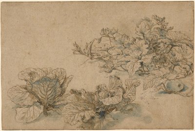 Studien einer Kürbispflanze und von Kohlköpfen von Abraham Bloemaert