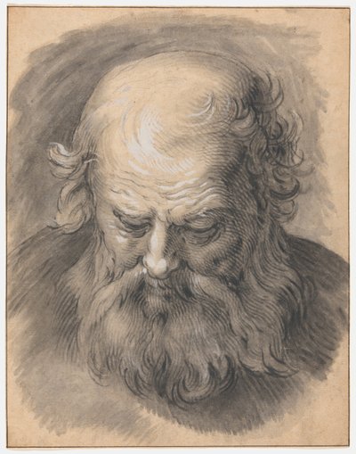 Studie des Kopfes eines bärtigen Mannes von Abraham Bloemaert