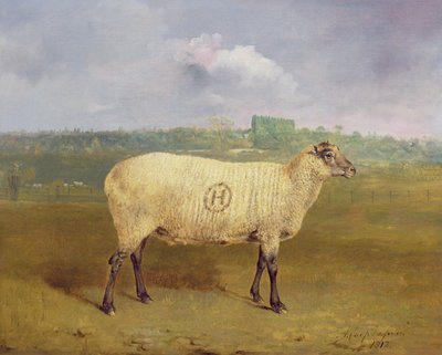 Ein Preis-Schaf mit Monogramm 