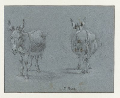 Zwei Studien eines Esels, von vorne und hinten gesehen von Abraham Jansz Begeyn