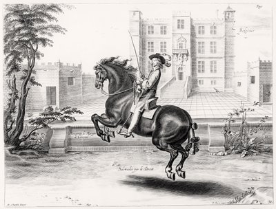 Illustration aus einem Reitmanual, graviert von Peeter Clouwet (1629-70), 1658 von Abraham Jansz. van after Diepenbeeck