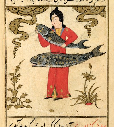 Sternbilder des Tierkreises: Fische, aus Talim dar marifat i taqvuim, 1498 (903 Hijra) von Abu Jafar al Tabari