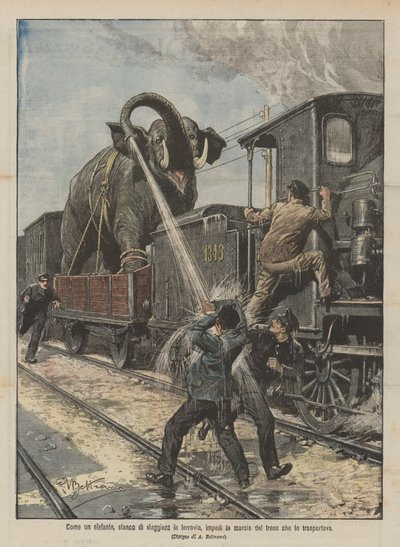 Wie ein Elefant, müde vom Reisen mit der Eisenbahn, den Zug, der ihn transportierte, aufhielt von Achille Beltrame