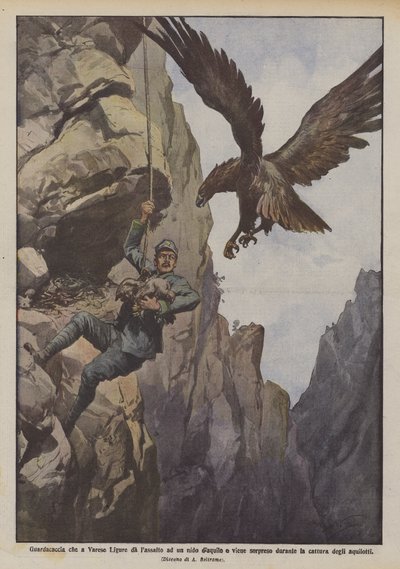 Wildhüter in Varese Ligure, der beim Angriff auf ein Adlernest überrascht wird von Achille Beltrame