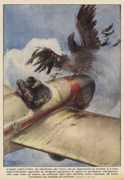 Der Adler gegen die Schraube von Achille Beltrame