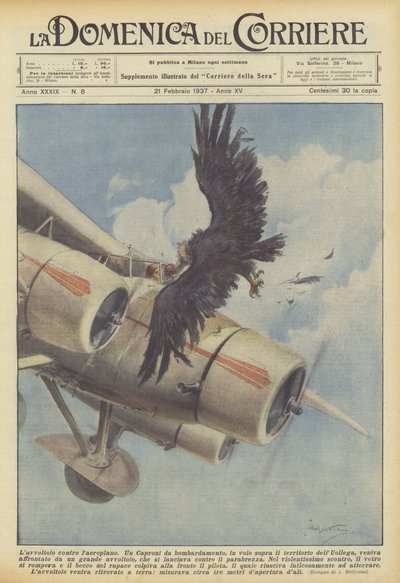 Der Geier gegen das Flugzeug von Achille Beltrame