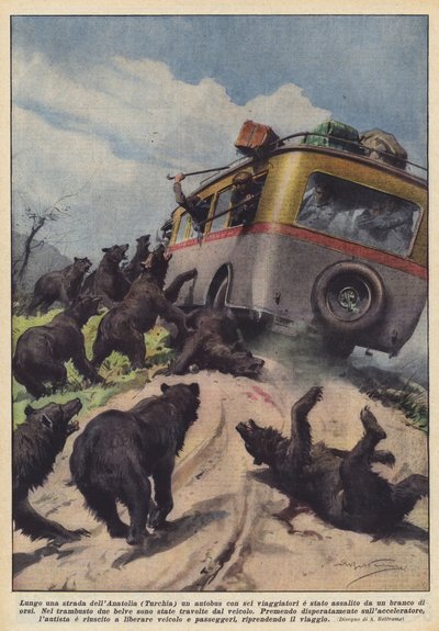 Ein Bus mit sechs Reisenden wurde auf einer Straße in Anatolien (Türkei) von einem Bärenrudel angegriffen von Achille Beltrame