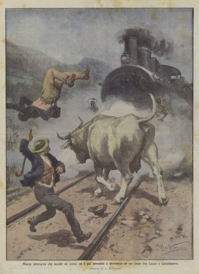 Wütende Kuh tötet einen Mann und wird dann von einem Zug zwischen Lucca und Castelnuovo überfahren und zerquetscht von Achille Beltrame
