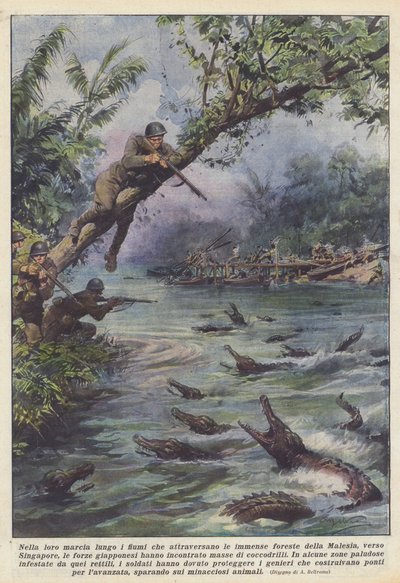 Auf ihrem Marsch entlang der Flüsse, die die riesigen Wälder Malaysias durchqueren von Achille Beltrame