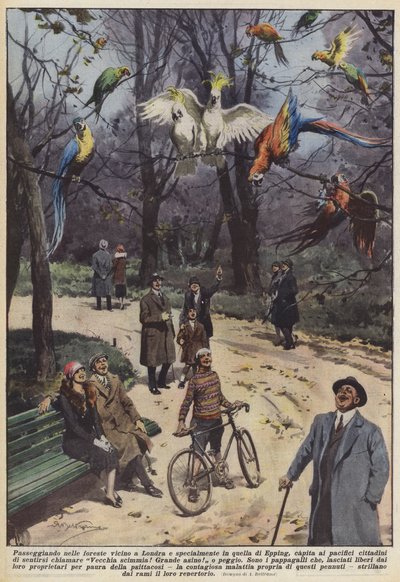 Beim Spaziergang in den Wäldern bei London, besonders im Epping Forest, begegnen friedliche von Achille Beltrame