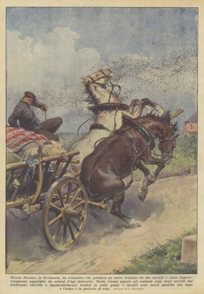 Bei Stendal in Deutschland wurde ein Bauer, der einen von zwei Pferden gezogenen Wagen lenkte... von Achille Beltrame