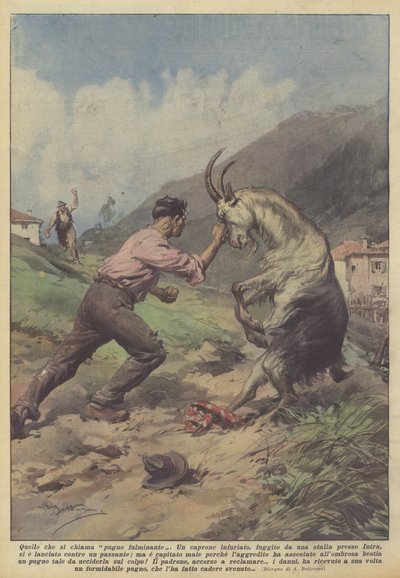 Das, was man einen blitzschnellen Schlag nennt von Achille Beltrame