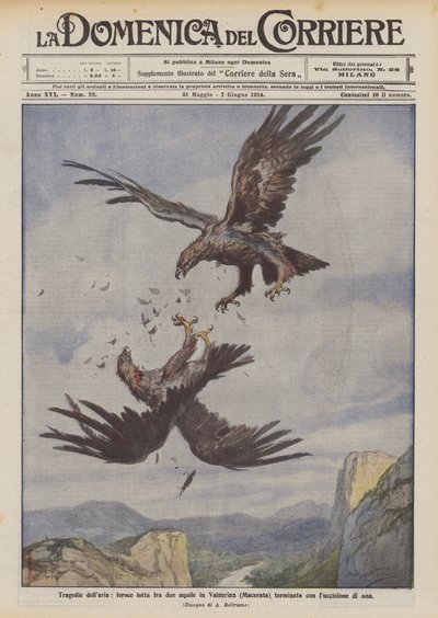 Lufttragödien, wilder Kampf zwischen zwei Adlern in Valnerina (Macerata), der mit der Tötung eines Adlers endet von Achille Beltrame