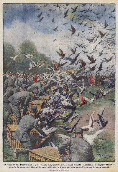 Ein Himmel voller Flügel von Achille Beltrame