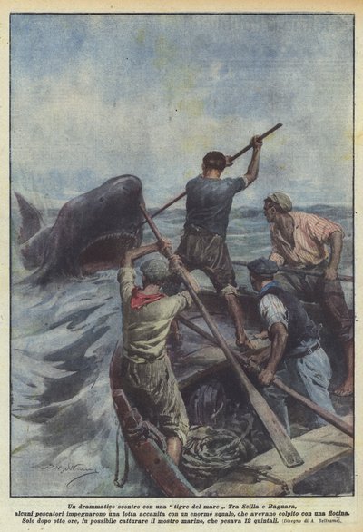 Ein dramatischer Kampf mit einem Seetiger von Achille Beltrame