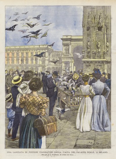 Ein Start von Brieftauben vom Platz des Königspalastes in Mailand von Achille Beltrame