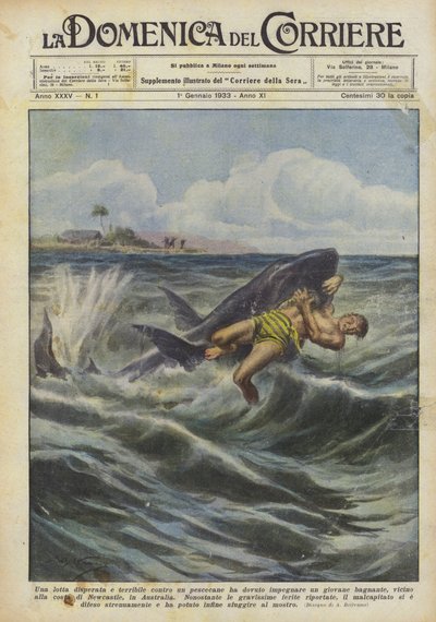 Ein junger Schwimmer musste einen verzweifelten und schrecklichen Kampf gegen einen Hai führen von Achille Beltrame