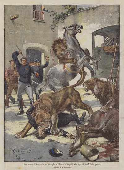 Eine Schreckensszene in einem Zirkus in Moskau nach der Flucht von Löwen aus dem Käfig von Achille Beltrame