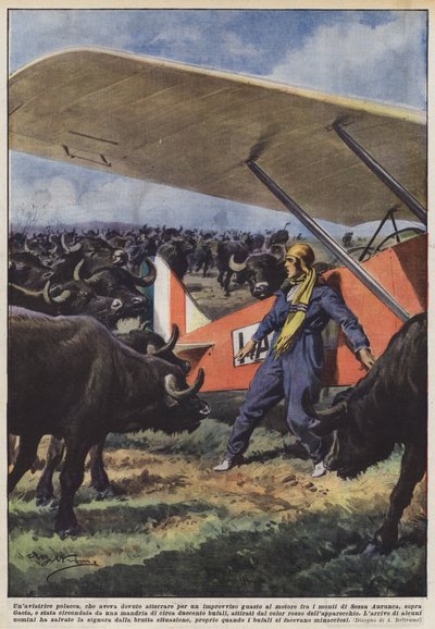 Eine polnische Fliegerin, die wegen eines plötzlichen Motorschadens in den Bergen landen musste von Achille Beltrame