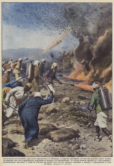 Eine Heuschreckeninvasion, die nach Palästina wütete, erschien in Ägypten von Achille Beltrame