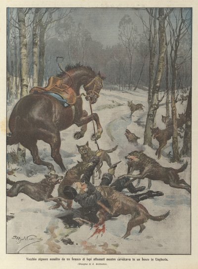 Alter Herr von einem Rudel hungriger Wölfe angegriffen, während er in einem Wald in Ungarn ritt von Achille Beltrame