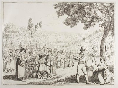 Die Weinlese von Achille Pinelli