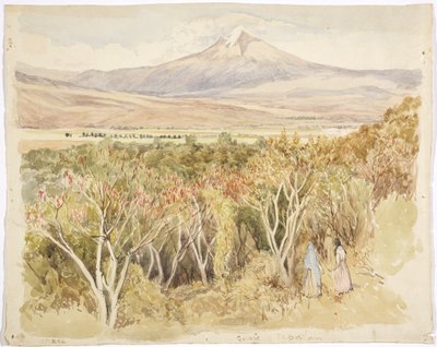Der Vulkan Popocatépetl von Yautepec, Bundesstaat Morelos, Mexiko von Adela Breton