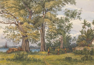 Apia-Bucht, Upolu, Navigatorinseln, [Samoa] von der Veranda meiner Krankenstation, 6. November 1849 von Admiral Sir Edward Gennys Fanshawe
