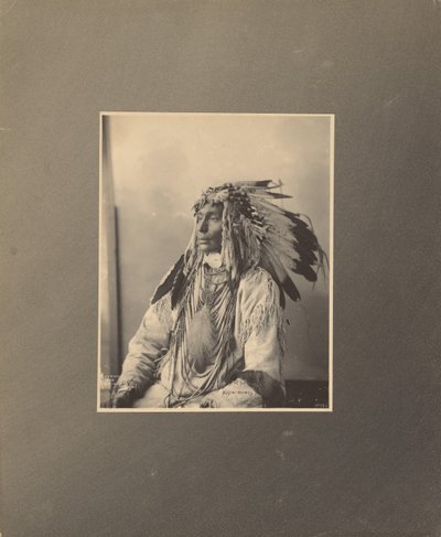 Kill Spotted Horse, Assiniboines von Adolph F. Muhr