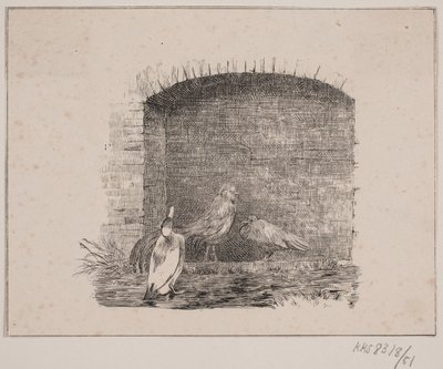 Die Hühner und Enten von Johan Adolph Kittendorff