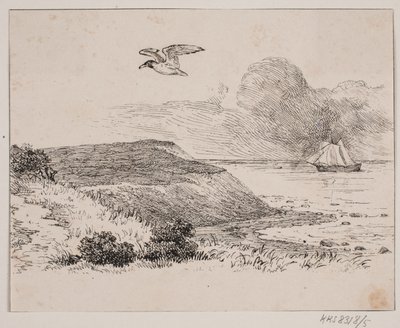Die Möwe von Johan Adolph Kittendorff