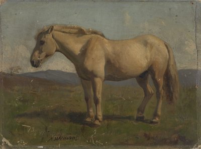  von Adolph Tidemand