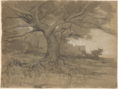 Eine große Buche am Waldrand von Adolphe Appian