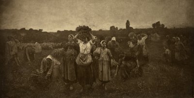 Die Sammler rufen von Adolphe Braun