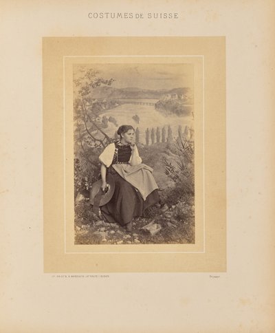 Kanton Schaffhausen von Adolphe Braun