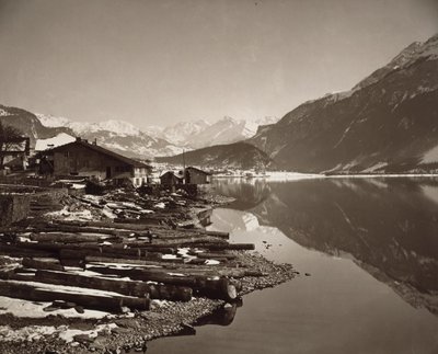 Lac de Brienz von Adolphe Braun