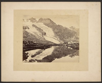 Das Bernina-Hospiz und Cambréna-Gletscher von Adolphe Braun