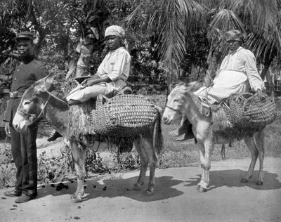 Auf dem Weg ins Gefängnis, Jamaika, um 1905 von Adolphe Duperly and Son