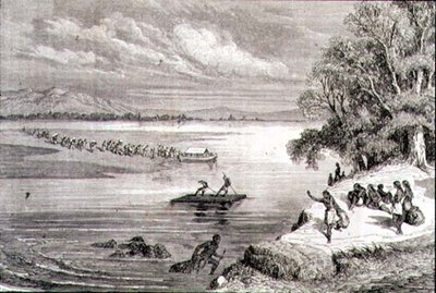 Überquerung des Colorado River in den 1860er Jahren von Adolphe Gusman