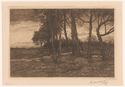 Landschaft mit Bäumen von Adolphe P.H J. van Weezel Errens (signed by artist)