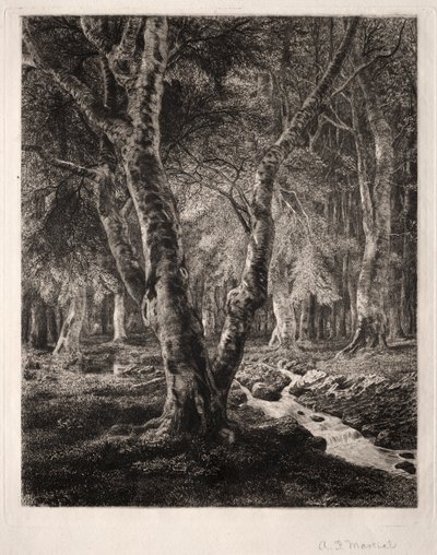 Wald von Pierrefonds von Adolphe Théodore Jules Martial Potémont